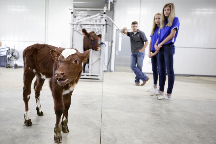 August 16, 2019: Okaw Valley High School shows agriculture complex during open house